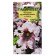 Flowers of Petunia "Alba" fringe, o, test tube, 7 pcs.