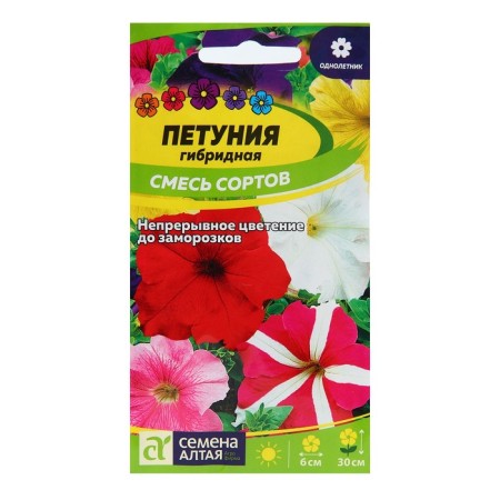 Petunia flowers hybrid mixture of colors, o, CP, 0.1 g