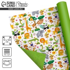 Paper Two -sided craft 