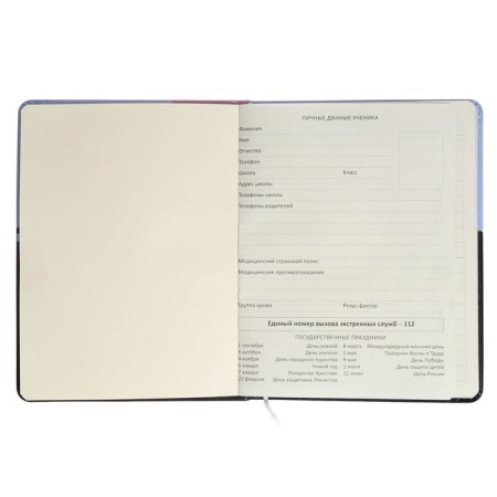 Universal Pastel 1-11 Diary, hard cover, artificial leather, colored cut, silk-screen printing, lies, block 80 g/m2-3
