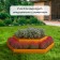 Galled flowerbed, 2 tiers, d = 60–100 cm, h = 30 cm, orange, Greengo