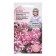 Petunia Fronts "Belinda F1", 10 pcs