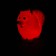 Hedgehog "Poodle" light, color mix