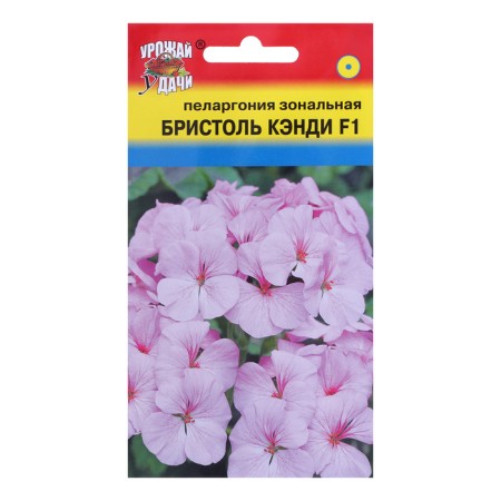 Flower seeds Pelargonium "Bristol Candy", F1, 0.03 gr.