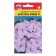 Flower seeds Pelargonium "Bristol Candy", F1, 0.03 gr.
