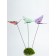 Plug "butterfly eddra" 60cm, set 3pcs, mix (5500037