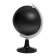 Educational set "Globe-Color", we study animals