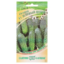 Cucumber seeds 