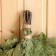 A broom for a Canadian oak bath in individual packaging
