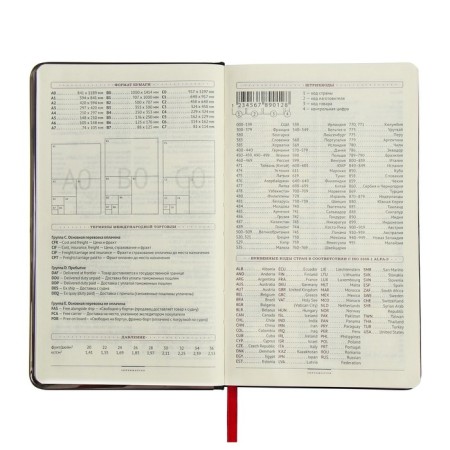 Diaumer Lowed A5, 136 Bridge sheets, artificial leather cover, metal edging, lies, silver-9