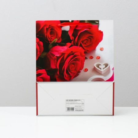 Laminated package, 26 x 32 x 12 cm-1