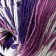 Yarn "Nordic" 20% wool, 80% acrylic 510m/150g (658)