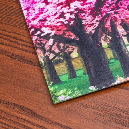 Photo frame Glass 10x15 cm "Blooming Alley" Double convex pattern 17x22 cm-2