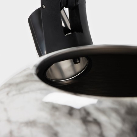 A kettle with a stainless steel whistle “Carrar”, 2.8 liters-2