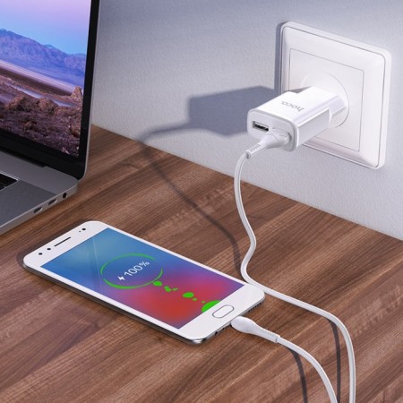Network charger Hoco C88A, 2 USB, 2.4 A, Micro USB - USB, 1 m, white cable-3