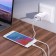 Network charger Hoco C88A, 2 USB, 2.4 A, Micro USB - USB, 1 m, white cable