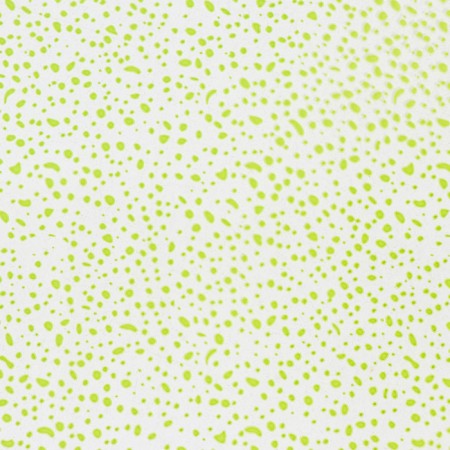 Flower Flowers "MOSKA", Saladovaya, 0.7 x 7.6 m, 40 μm, 200 g-1