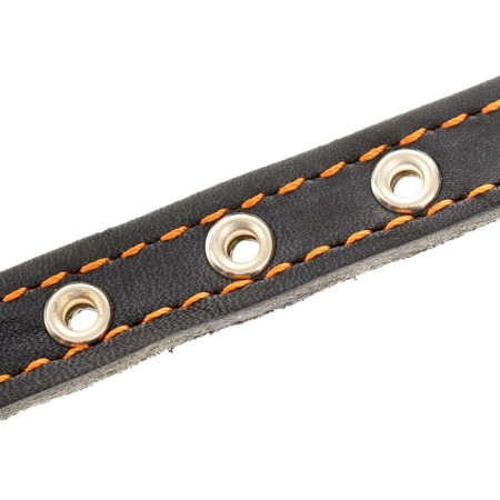 Leather collar on synthetic winterizer, dimensionless, 37 x 1.5 cm, Osh 21-31 cm, blue-3