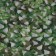 Masking mesh, 4 × 3 m, single, light green, brown, Greengo