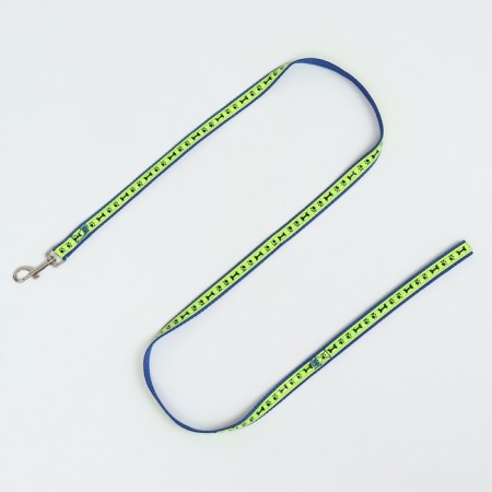 Set "Bones and Paws" reflective, leash 120 x 1.5 cm, OG 36-52 cm, blue-5
