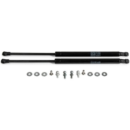 Copot shock absorbers "Avtoopor", Lada Largus, Renault Logan 2004-V., 2 pcs., Ulalar012