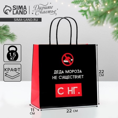 Gift package “Santa Claus does not exist”, 22 x 22 x 11 cm, New Year