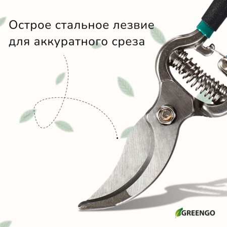Planning coater, 8 "(20 cm), with metal handles, Greengo-4