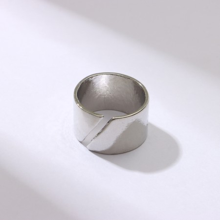 Ring "section" trend, color silver, dimensionless-2