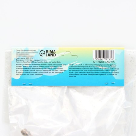 Georgina decorative "Smoke", rr I, 1 pc, spring 2024-2