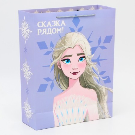 Package Gift "Fairy Tale near" 31x40x11 cm, packaging, cold heart-2