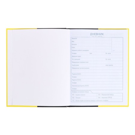 Universal diary for grades 5-11 Black & Yellow, solid cover, glossy lamination, 48 sheets-3