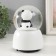 Souvenir Polystone Water Ball Music "Panda" spins 15x10x10 cm