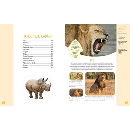 Encyclopedia. The colorful world of animals-5