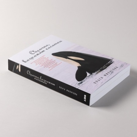 Cloudy, killer whales are possible. Filatova O.-3
