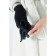 Gloves are female, dimensionless, without insulation, black color