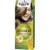 Hair Cream Palette phytolinia, tone 400, medium-blonde