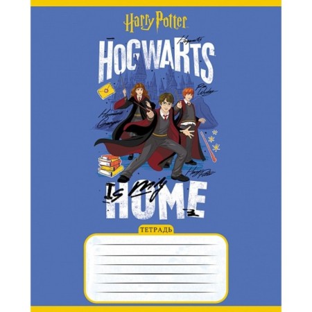 Notebook 18 sheets, in a cage, Harry Potter, cover coated cardboard, rounded corners, mix-4