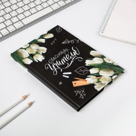Diary in a gift box "Class teacher", A5 format, 80 sheets-4