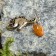 Unicorn-Talisman keychain, natural amber