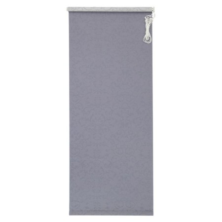 Rolled curtain 70 x 175 cm "Delphi", color gray color