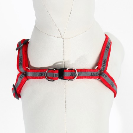 Sports set a reflective, leash 120 x 1 cm, fire 23-35 cm, red-6