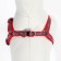 Sports set a reflective, leash 120 x 1 cm, fire 23-35 cm, red