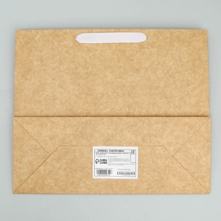 Craft package with a plastic window "Happiness", 31 x 26 x 11 cm, New Year-6