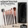 A set of makeup brushes "Reptilia", 7 objects, a cover on a button, black color