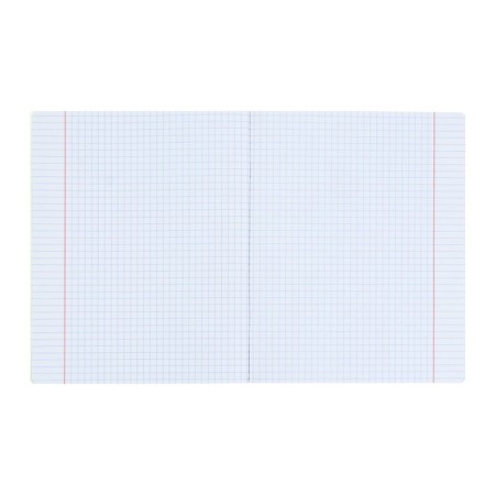 Notebook A5+, 48 sheets in the Erichkrause "Neon" cage, a plastic cover with a "sand" texture, an offset unit, a whiteness is 100%, a green-6
