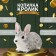 Piggy bank "Rabbit No. 1 Farm" Height 14 cm, width 10 cm, length 18 cm