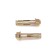 Tundra anchor bolt, with a nut, galvanized, 12x60 mm, 80 pcs