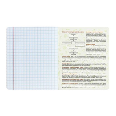 Subject Calligrata Top "Abstraction", 48 sheets in a biology cage, with reference material, covered cardboard, holographic lamination, offset block-3