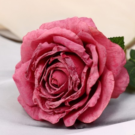 Artificial flowers "Rose Aesthetics" 10x49 cm, ash-pink-1