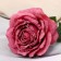 Artificial flowers "Rose Aesthetics" 10x49 cm, ash-pink